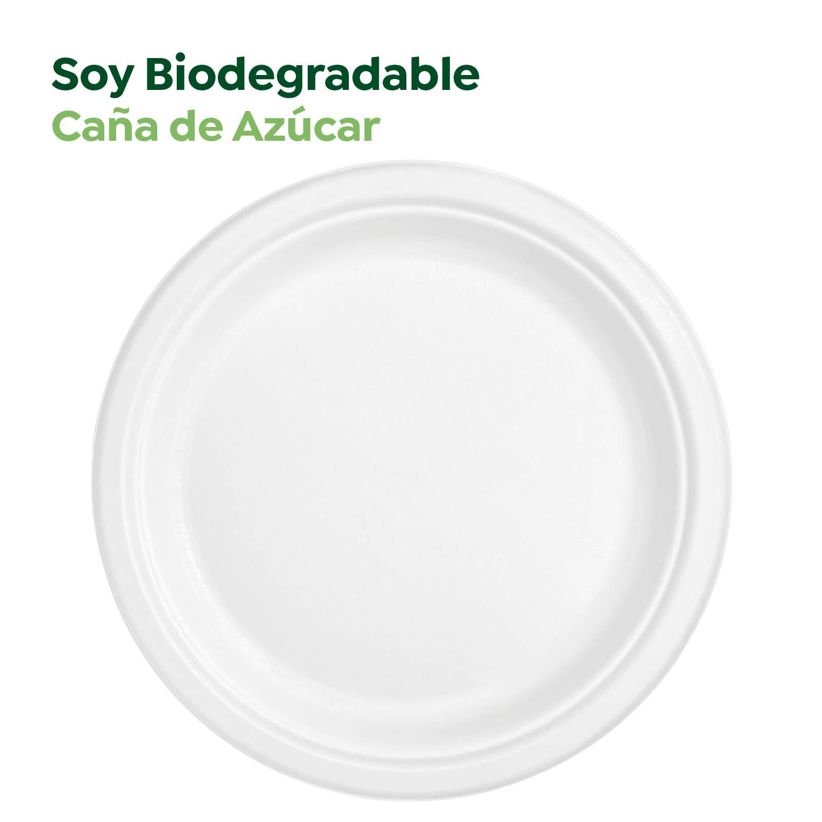 Plato Caña de Azúcar Llano Redondo Postre Ø17 cm Blanco 500 Unidades