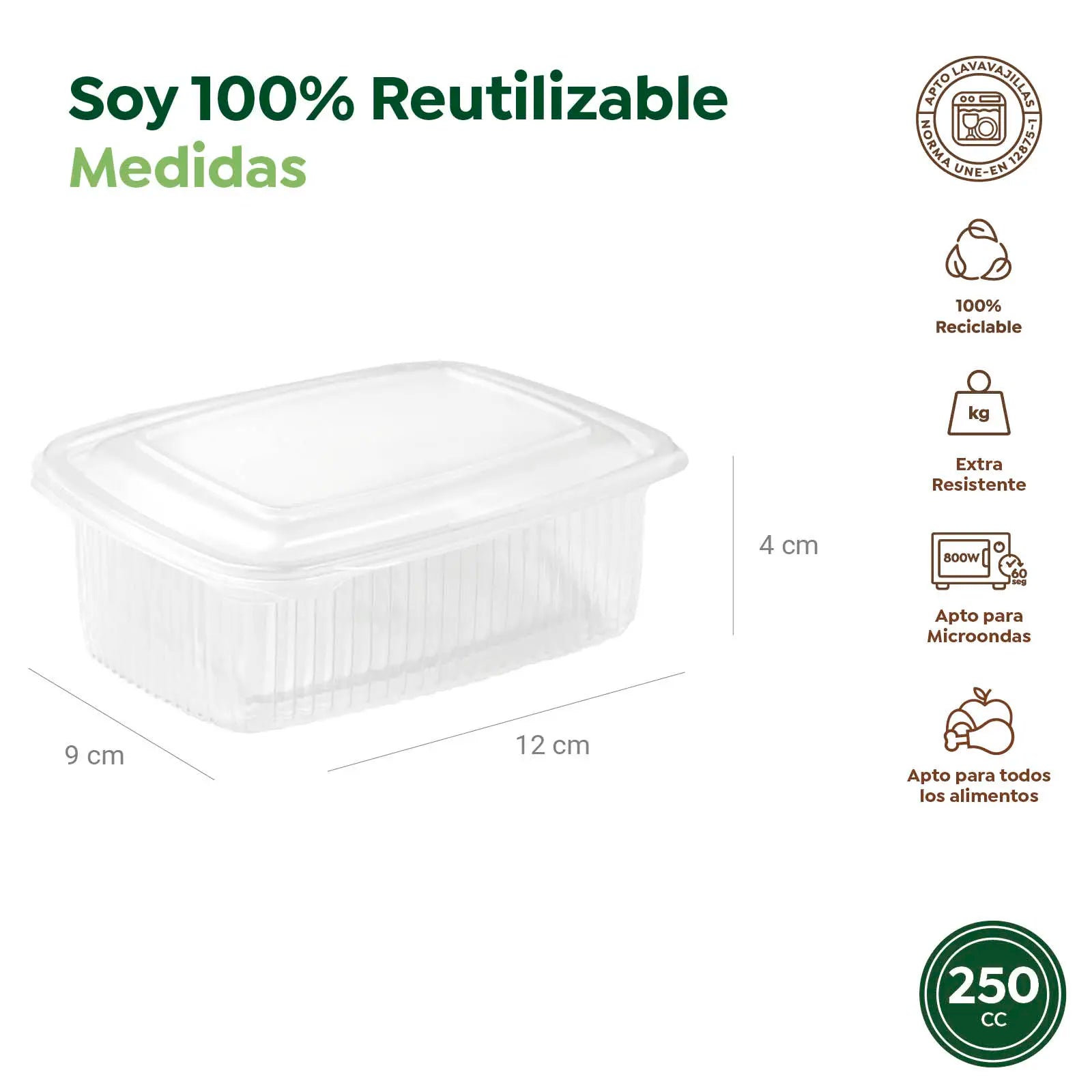 Envase Rectangular Reutilizable Tapa Bisagra 250cc Transparente 180 Uds