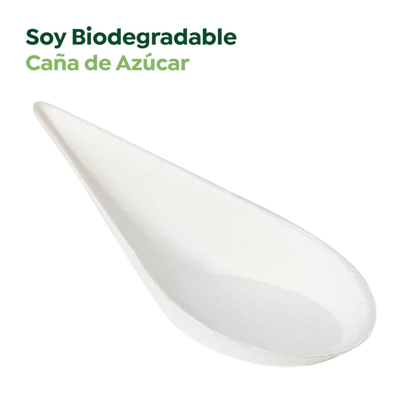 Cuchara Aperitivo Lágrima Finger Food Caña de Azúcar 10 x 4 cm 50 uds