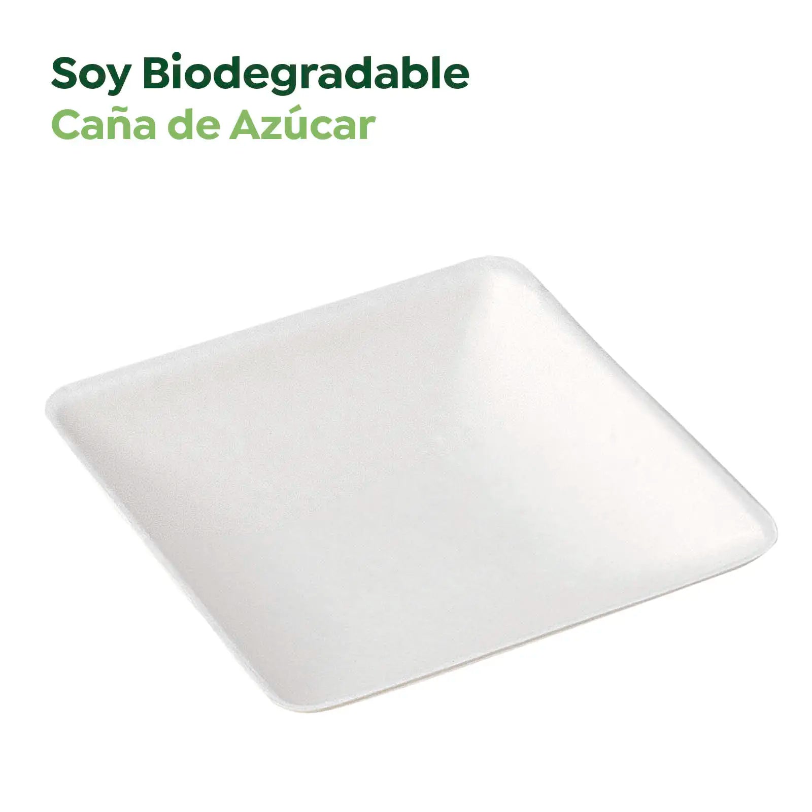 Plato Cuadrado Finger Food Caña de Azúcar 6,5 x 6,5 cm 1000 uds